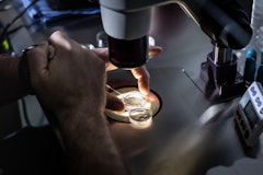 California's Much-Touted IVF Law May Be Delayed Until 2026, Leaving Many in the Lurch - KFF Health News