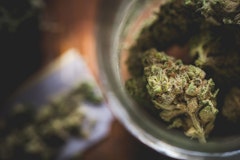 Debunking 5 of the Most Widespread Marijuana Myths